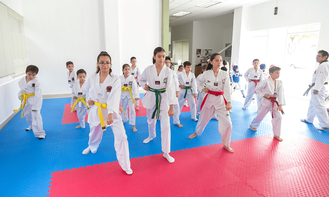 La disciplina del taekwondo